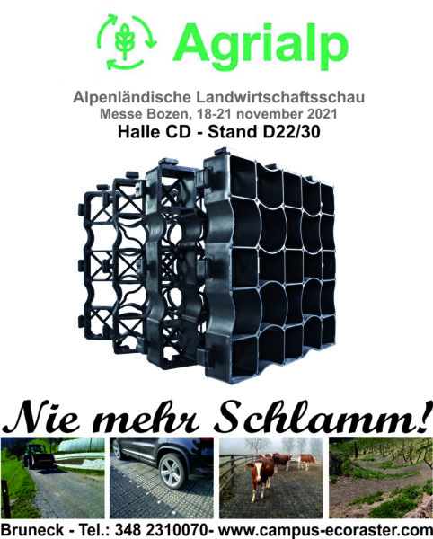 Werbung-Faccebook-Hompage-A-482x600 Werbung-Faccebook-Hompage-A-482x600