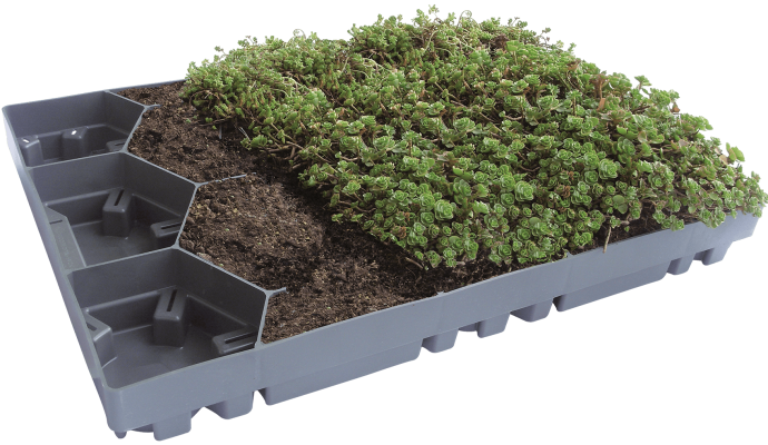 ecosedum_pack
