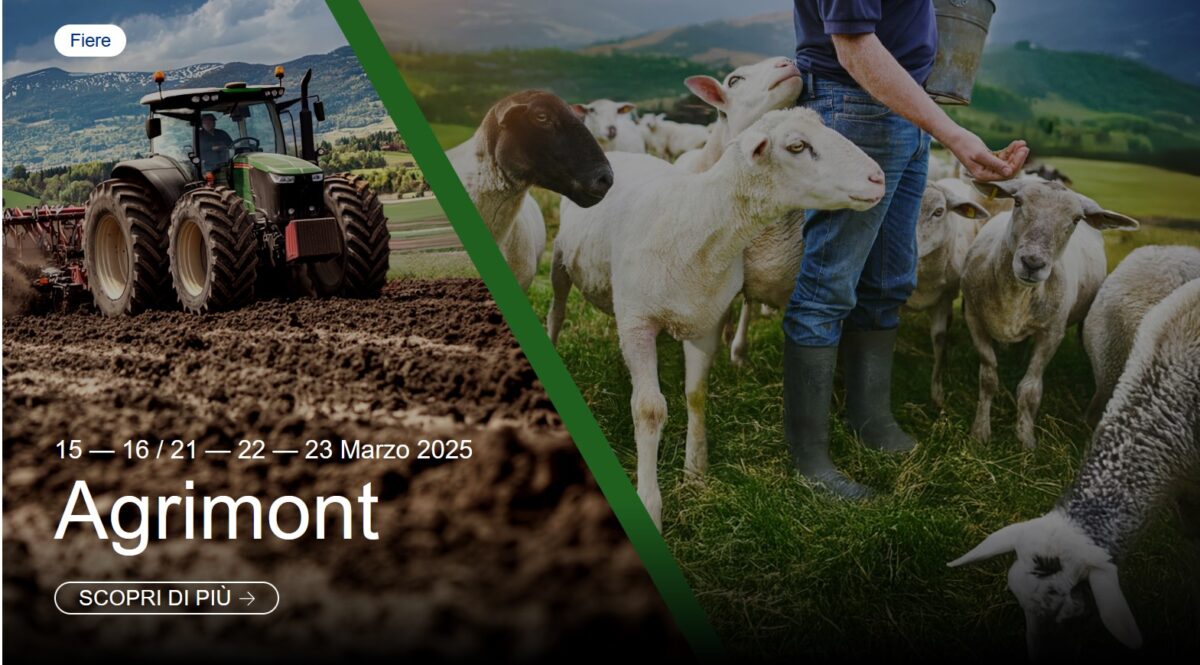 Agrimont Agrimont